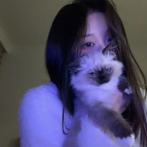 유신현