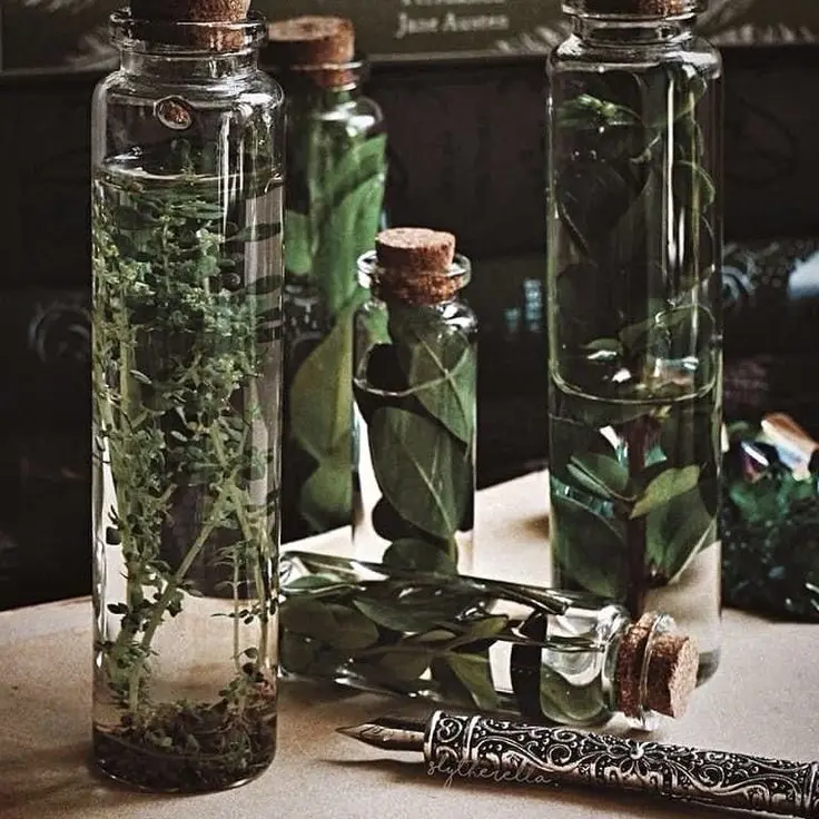 Dino_0911의 인외 룡과 마법소녀인 당신