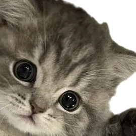 고민상담