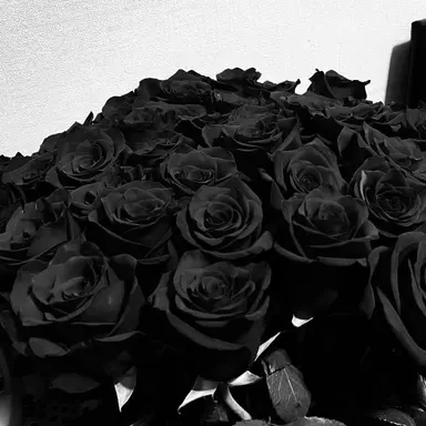 Profile image of チャンビン