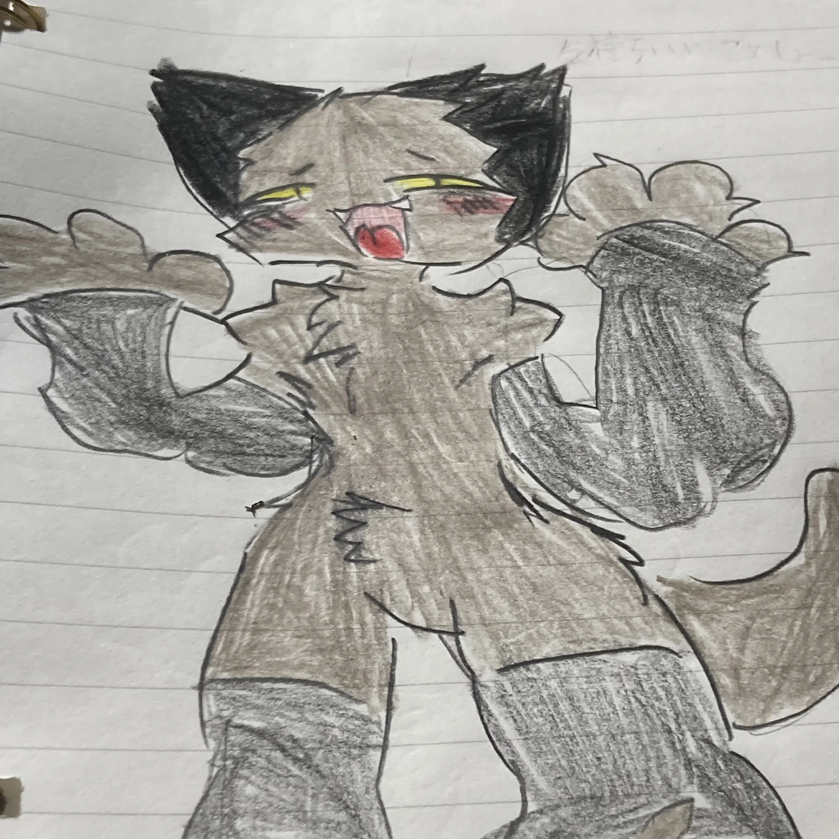NeedyAtom6016의 ケモナー猫