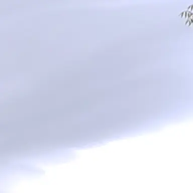 Profile image of わかいひろと