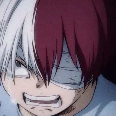 Profile image of 토도로키 쇼토