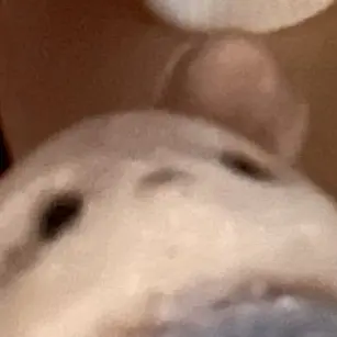 aaiiuue의 아