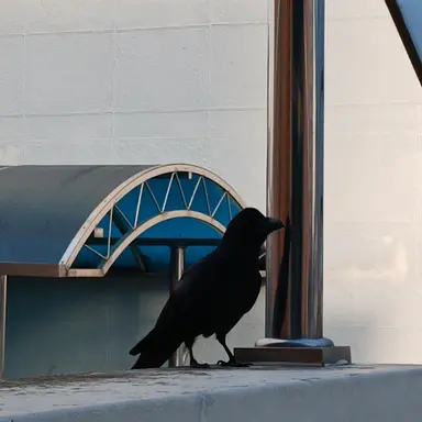 Profile image of 모두들