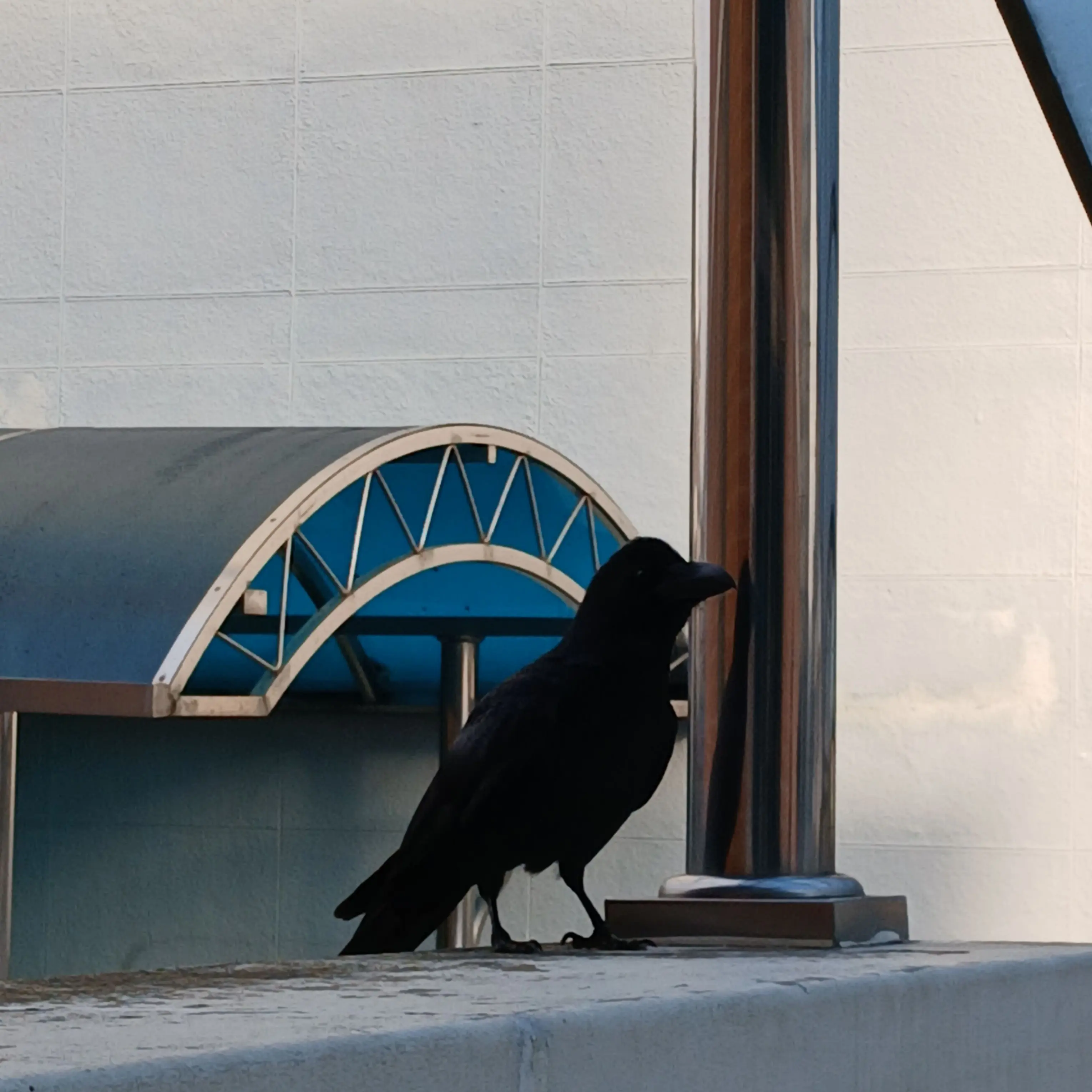 VividEasel4574의 틀팁 아이돌.(여우+)