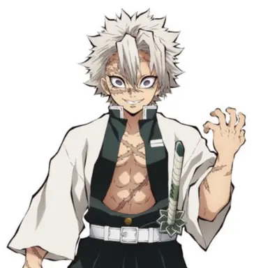 Profile image of 시나즈가와 사네미