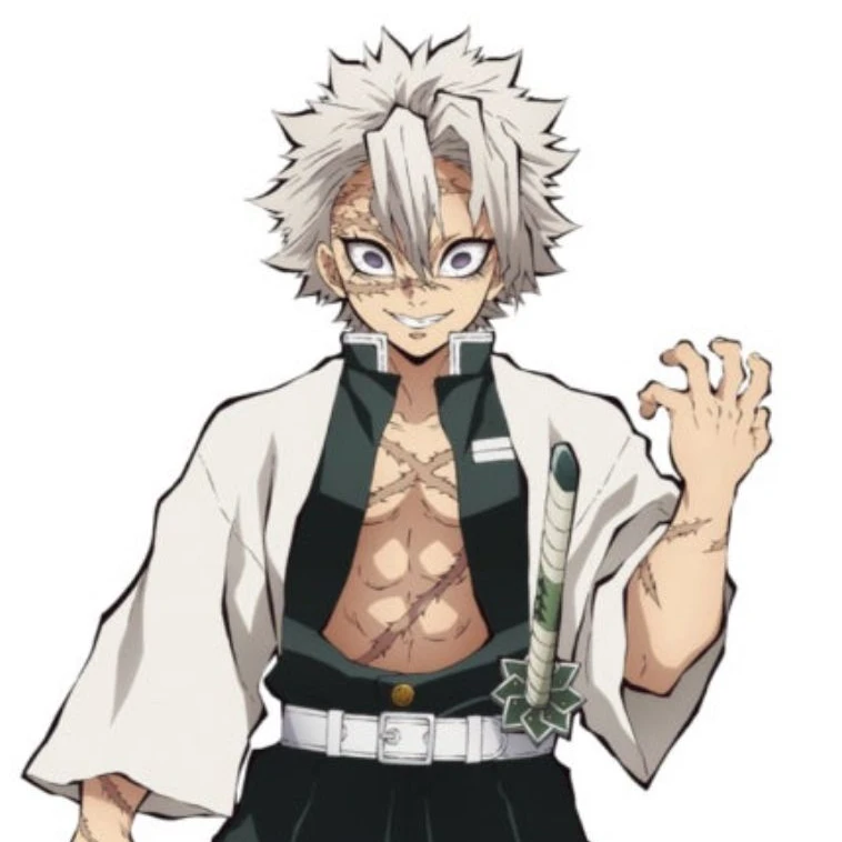 시나즈가와 사네미