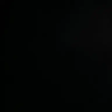 Profile image of 박 성 호