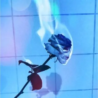 Profile image of 림무무