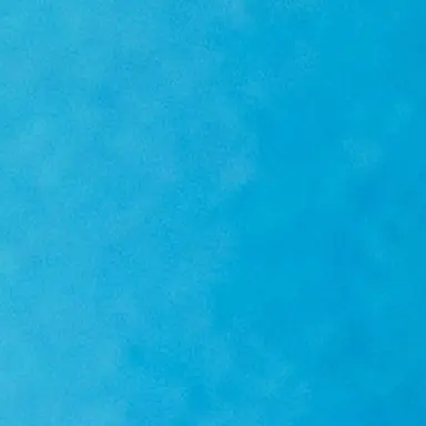 Profile image of 樹