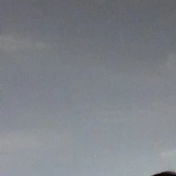타잔