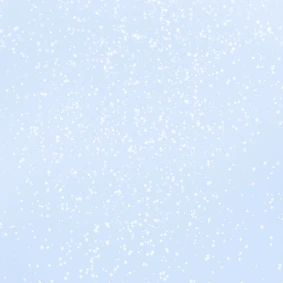 베일리
