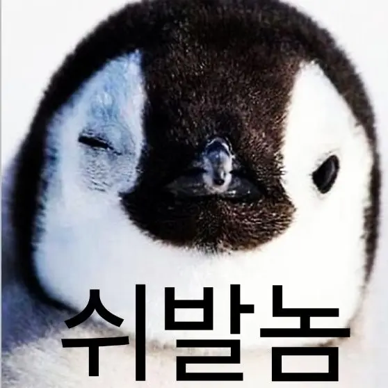 GroggyNoise4261의 싸가지 없는 펭귄