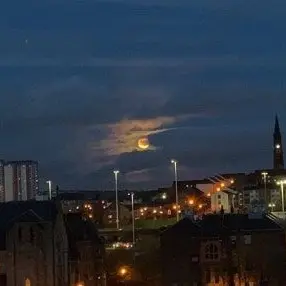 Profile image of 온리유.