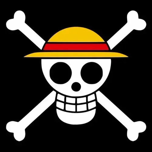 AngstyFlash7059의 Straw hat crew