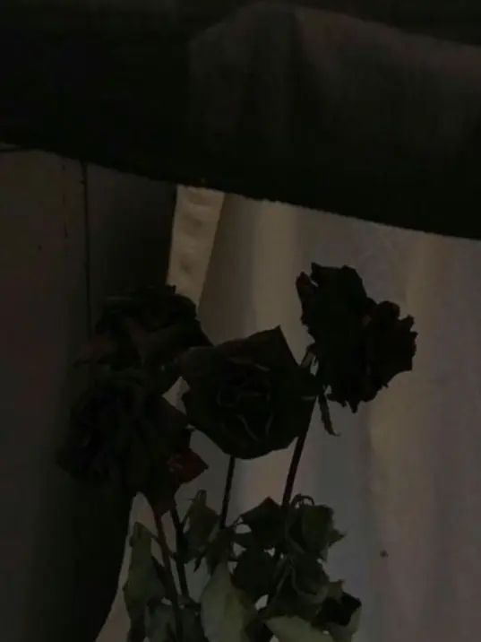 ri_bon4의 私の妹は男の人を嫌っています