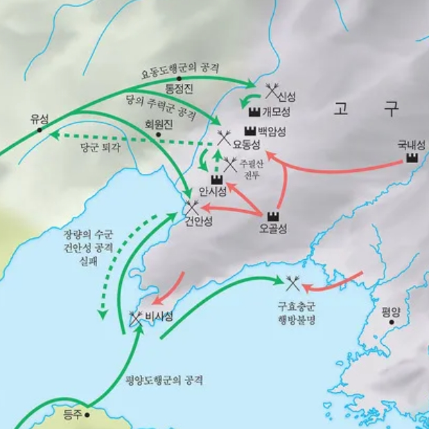 안시성에서 살아남기 대표 이미지