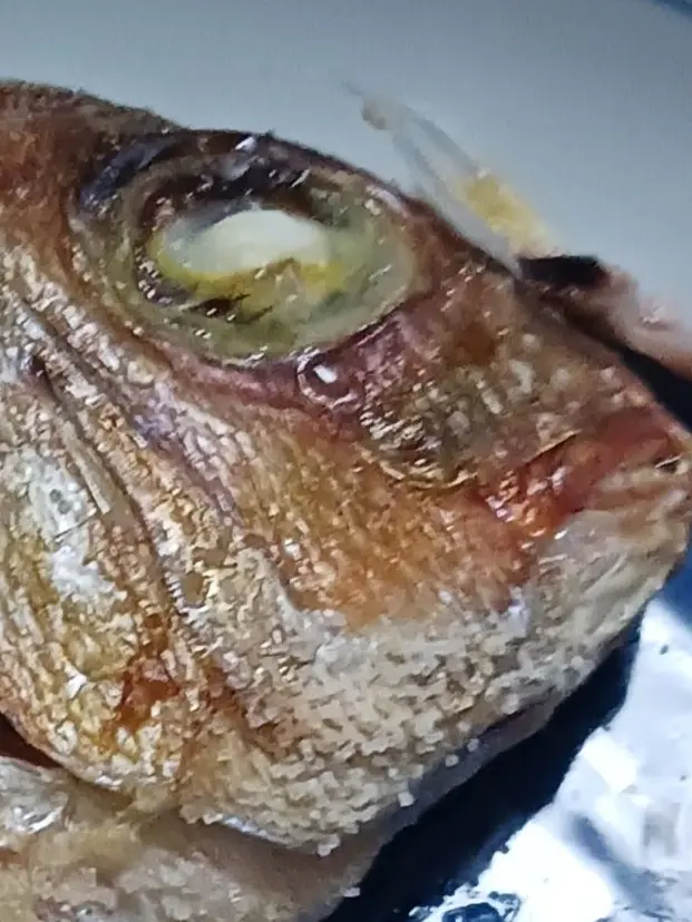 NyaNya0301의 焦げた塩焼きは恋をする