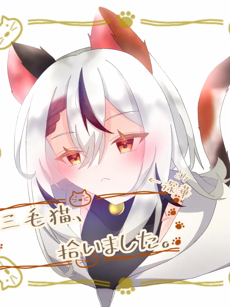 snowmelt431의 三毛猫、拾いました。