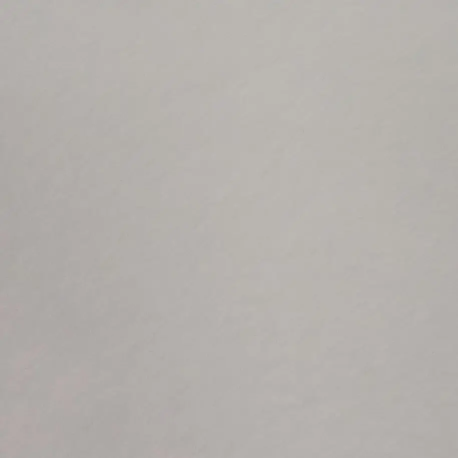 Star_start_shinkitten의 댄디의 세계 스토리