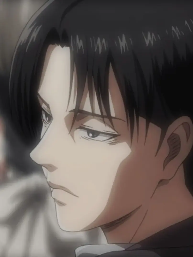 TartTulip0977의 리바이 아커만