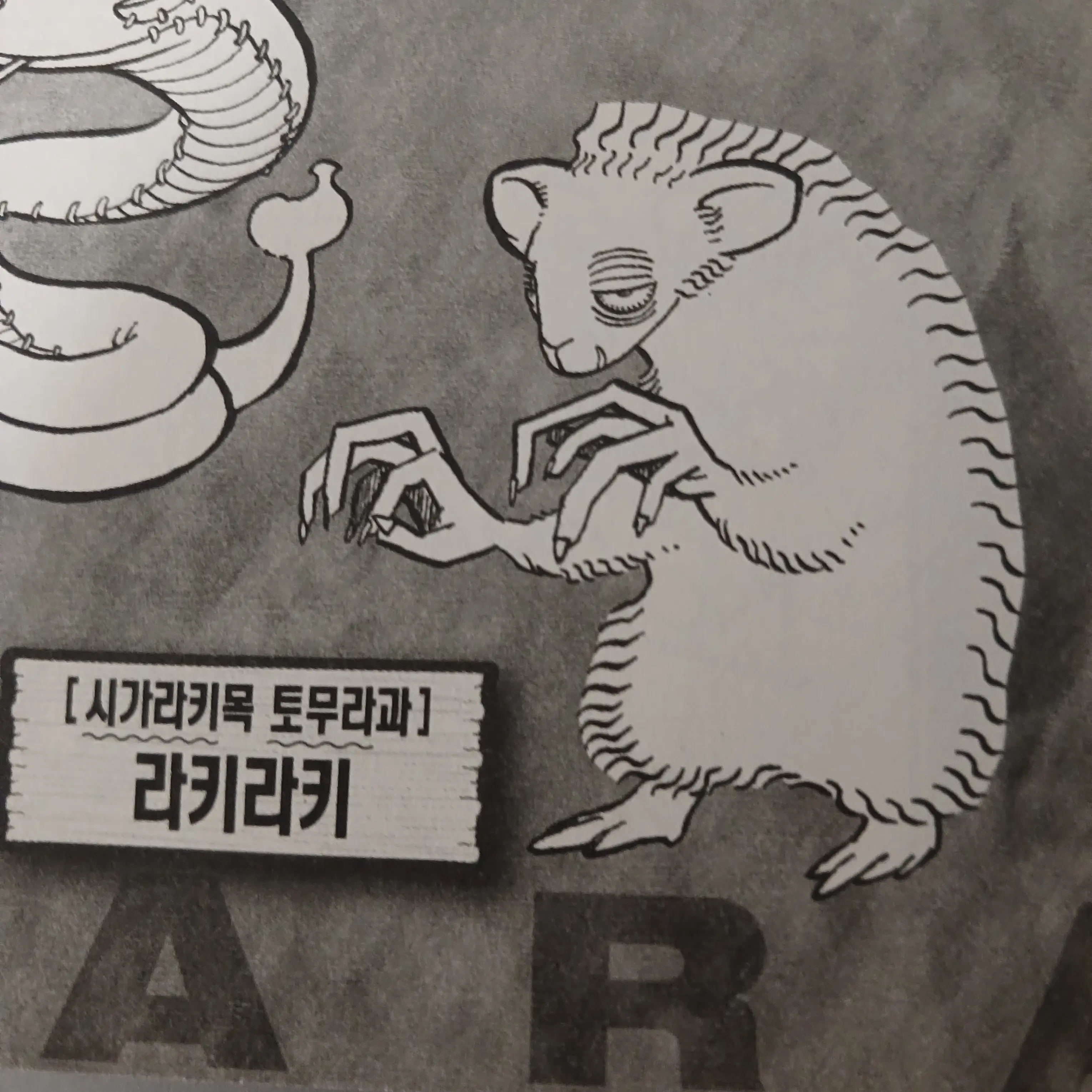 MartyrTea6039의 라키라키