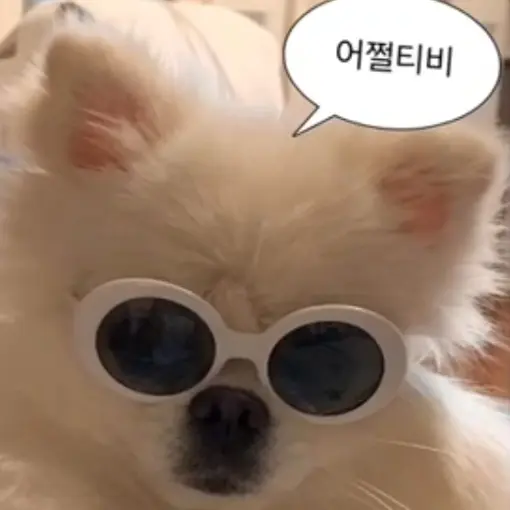 Skss_2645의 잼민이들의 단톡방 2