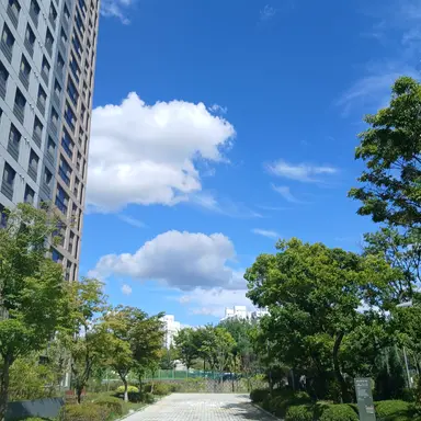 Profile image of 김민정