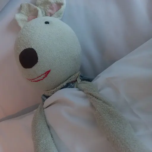 rabbittoto의 빡토토