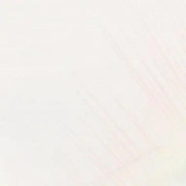Profile image of 稲波