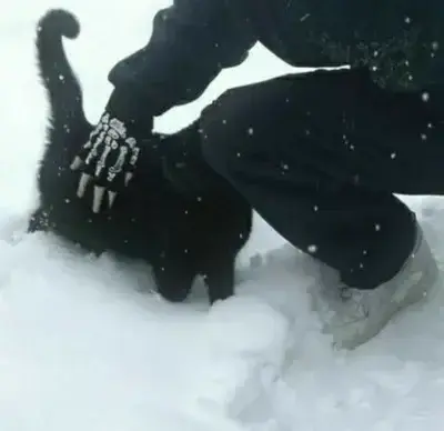 BarrenStand2746의 BL - Cat Dad