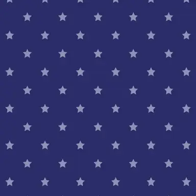 Profile image of しょうたろう