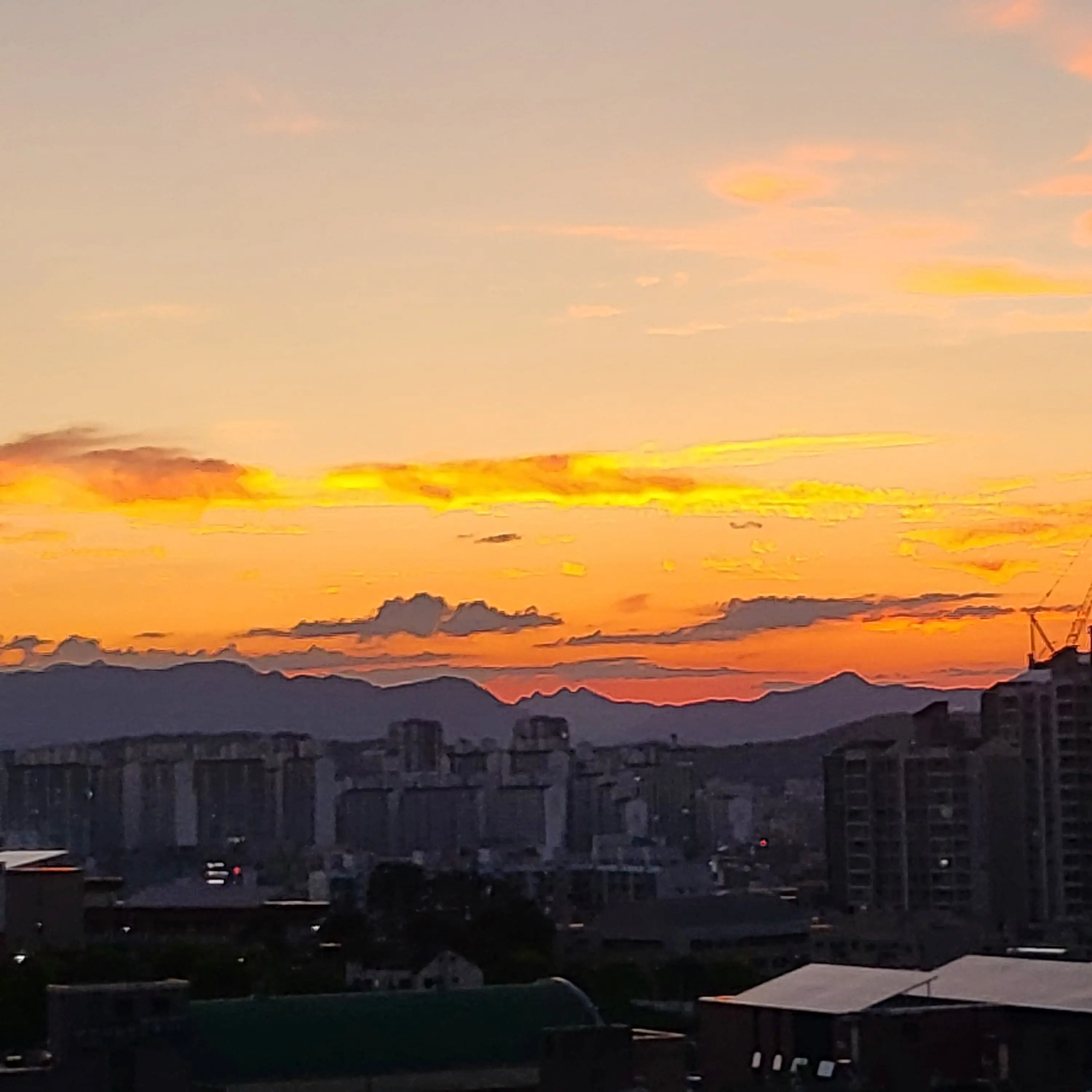 AmusedEuro3925의 막내,주