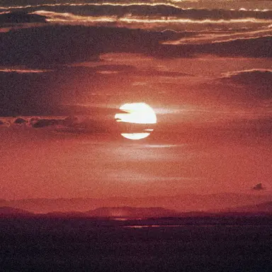 Profile image of 노을