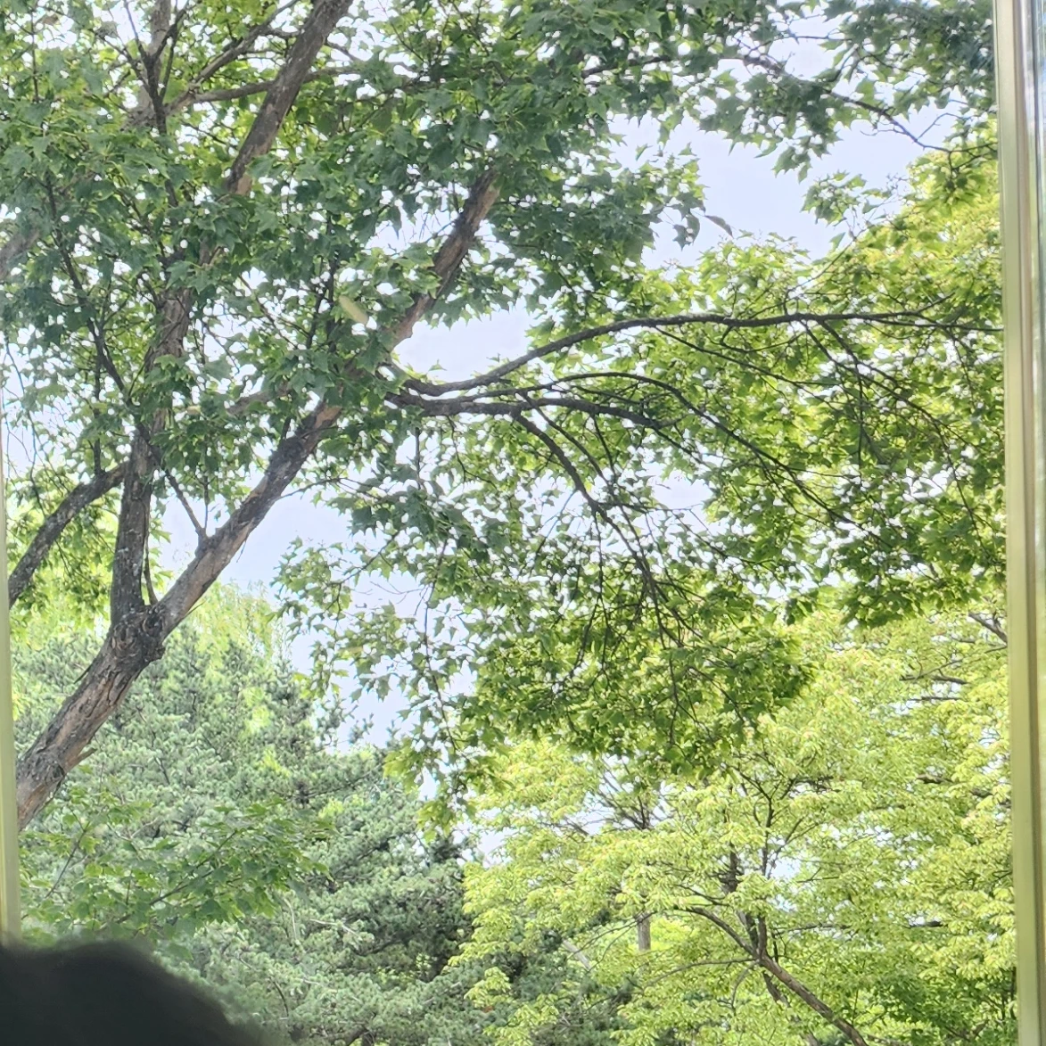 이상원