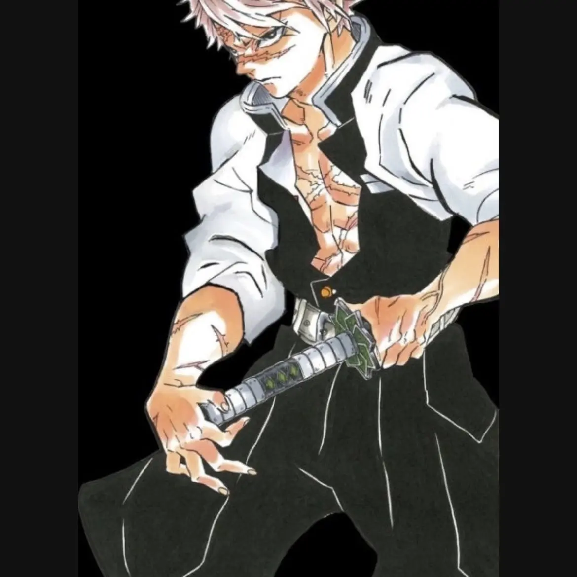 ShortCode3966의 장염걸린 사네미(?)