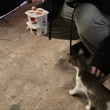 Profile image of 성한빈