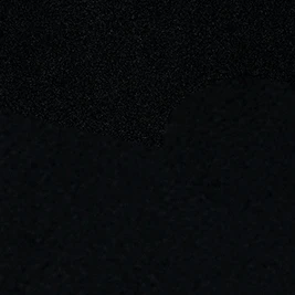 정한