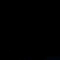 김동현