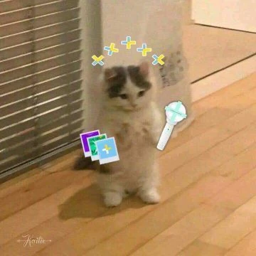 전학생태혀니