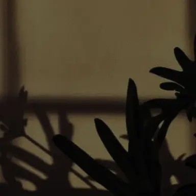 Profile image of 최종훈