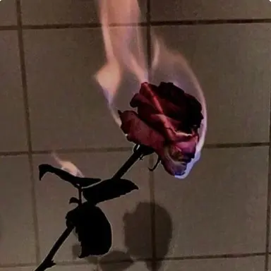 Profile image of 서라더