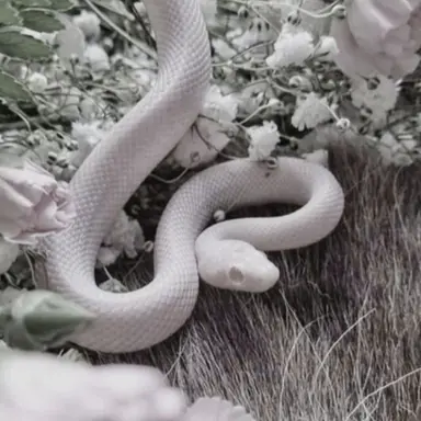 Profile image of 아버지