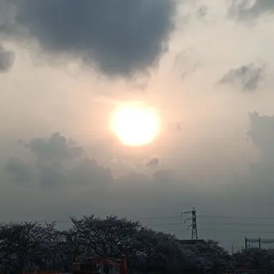 Profile image of 空
