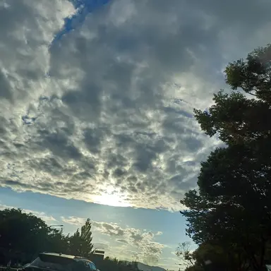 Profile image of 라더