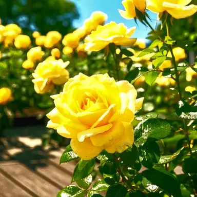 Profile image of 각별