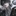 박의현
