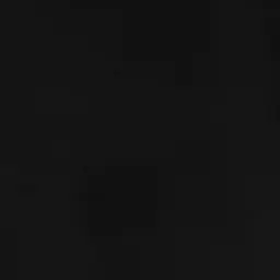 Profile image of 황현진