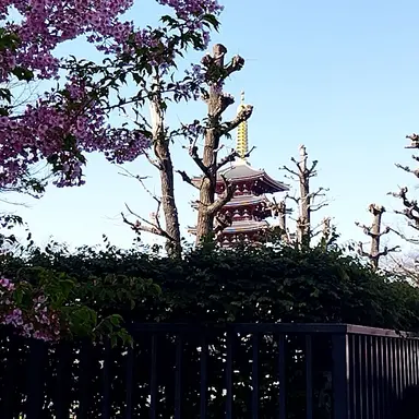 Profile image of リク